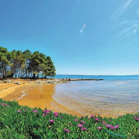 Gorgeous In With Wifi * ויר